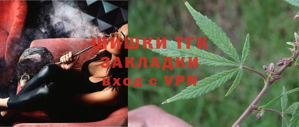 хмурый Абаза
