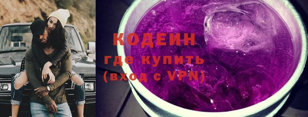 хмурый Абаза