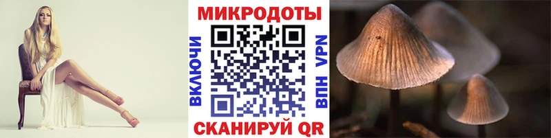 наркота  Бирюч  Галлюциногенные грибы Cubensis 